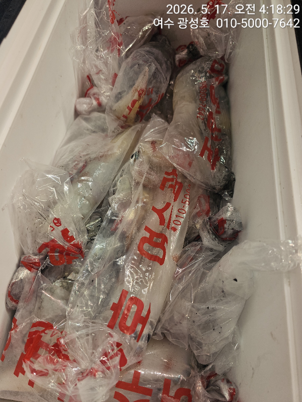 KakaoTalk_20260517_141640460_14.jpg
