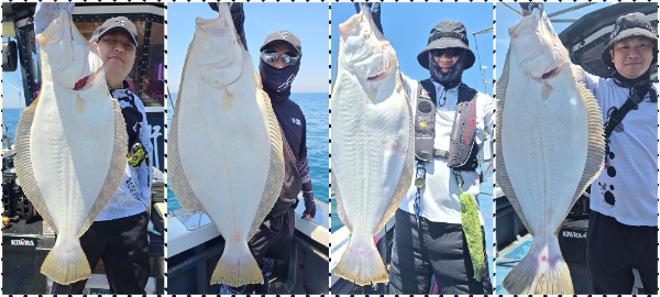 collage3.png