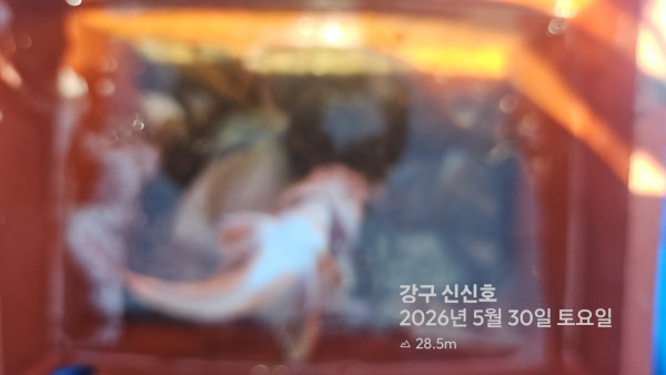 신신낚시 강구점 신신호_사진_20260530_19.jpg