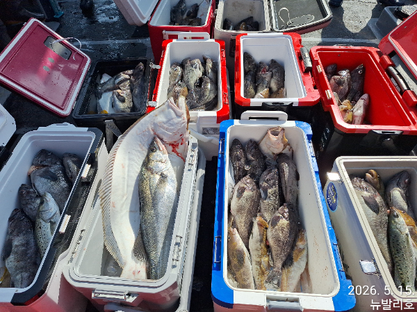 KakaoTalk_20260515_164012517_04.jpg