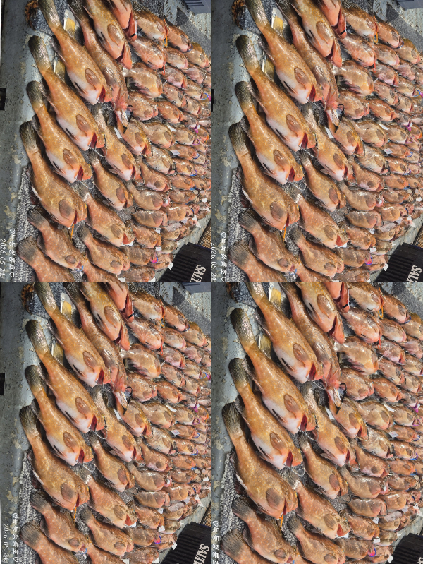 1000059486.jpg