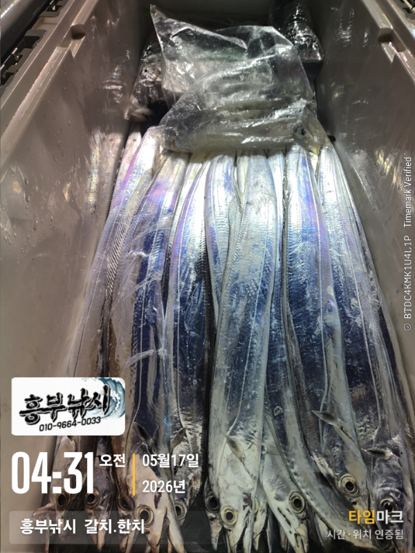 2026-05-17 04.31.51__(-흥부낚시  갈치.한치).jpg