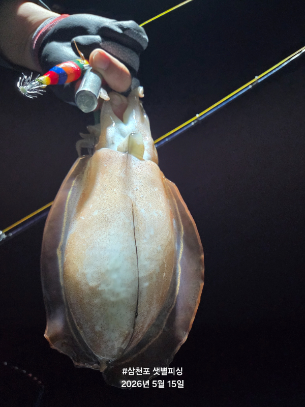 20260515_221236.jpg