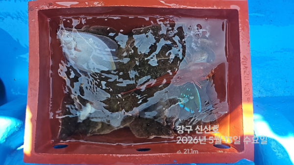신신낚시 강구점 신신호_사진_20260513_20.jpg