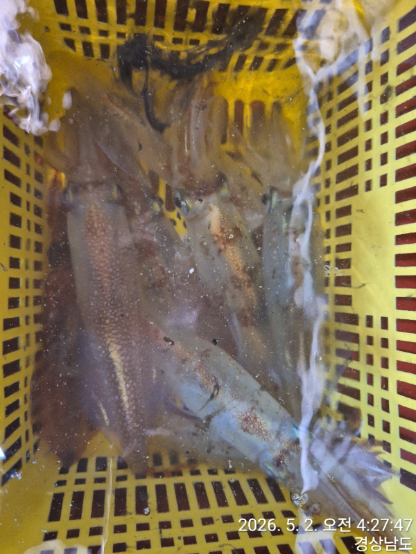 1004피싱_사진_20260502_14.jpg