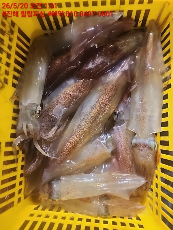 KakaoTalk_20260521_174339986_08.jpg