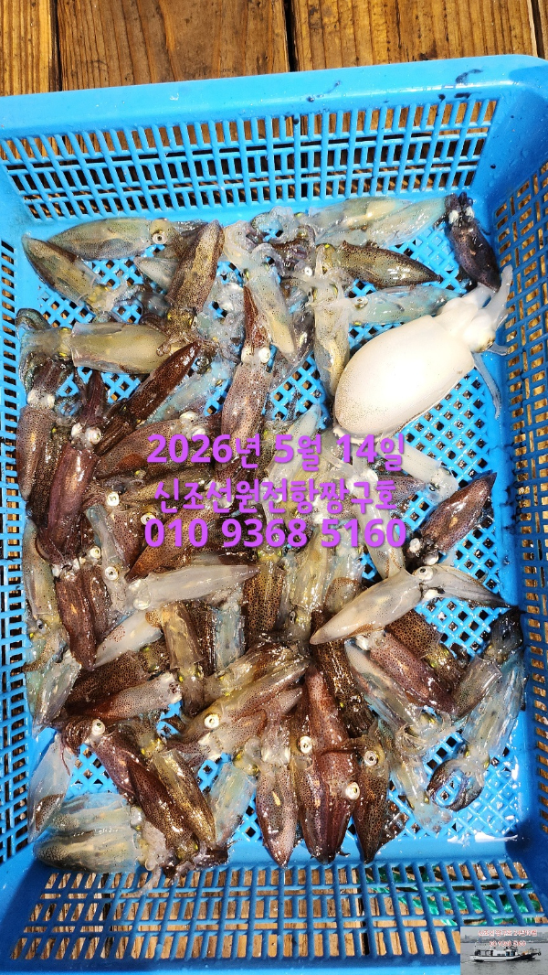 KakaoTalk_20260514_013527494.jpg