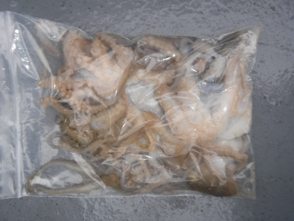 DSCF5765.JPG