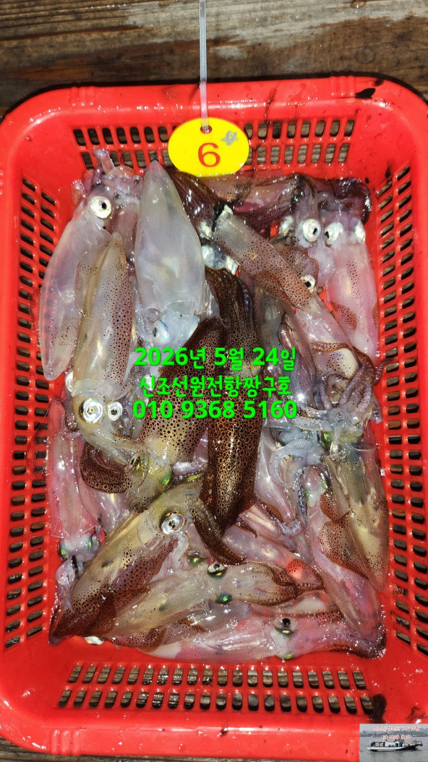 KakaoTalk_20260524_040646238_01.jpg