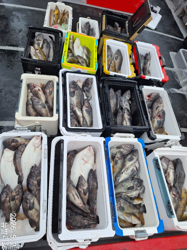 KakaoTalk_20260502_164638490_09.jpg