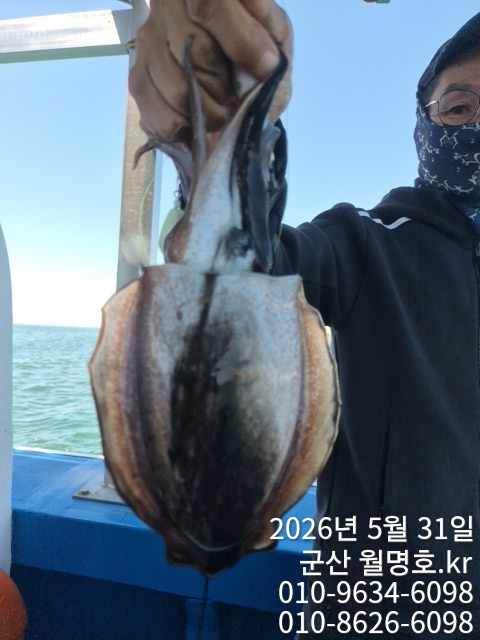 8040.jpg