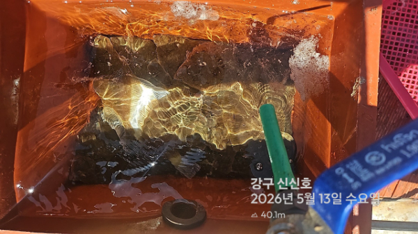 신신낚시 강구점 신신호_사진_20260513_12.jpg