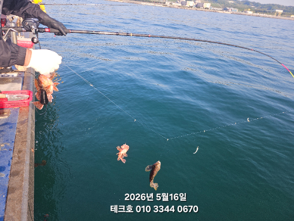 KakaoTalk_20260516_093230432_05.jpg