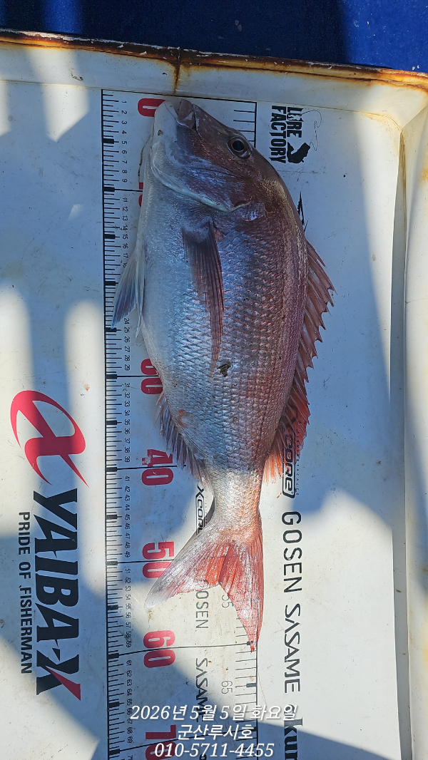 1777947744892.jpg