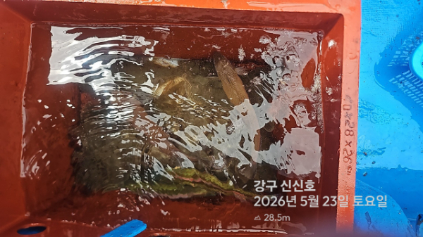 신신낚시 강구점 신신호_사진_20260523_10.jpg