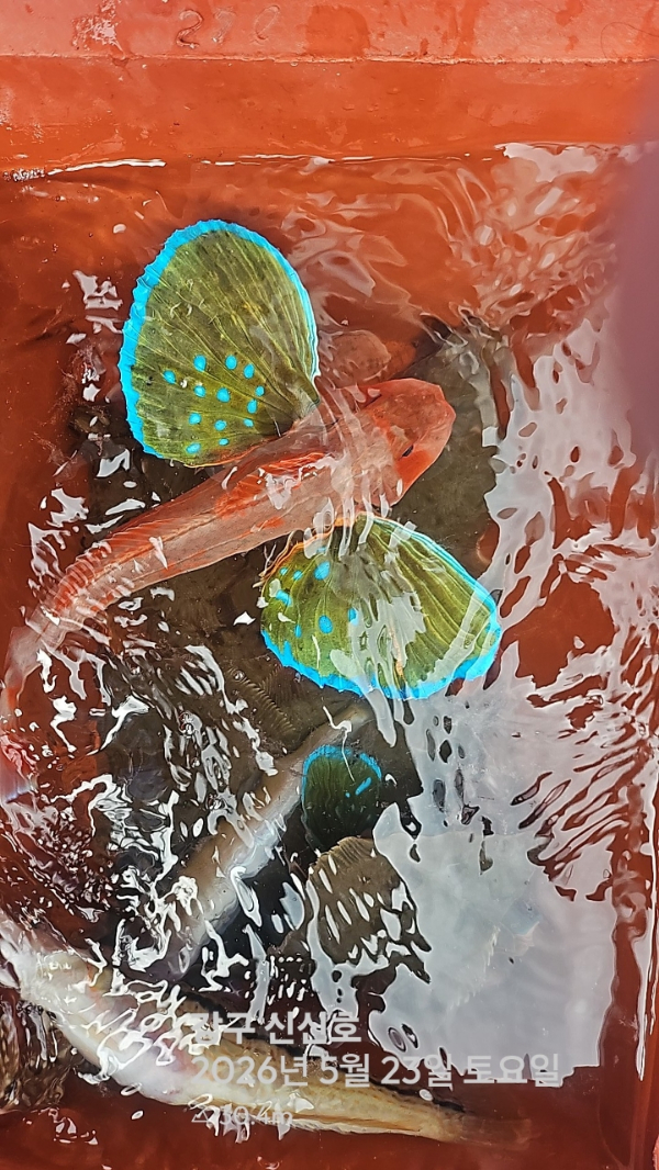 신신낚시 강구점 신신호_사진_20260523_12.jpg