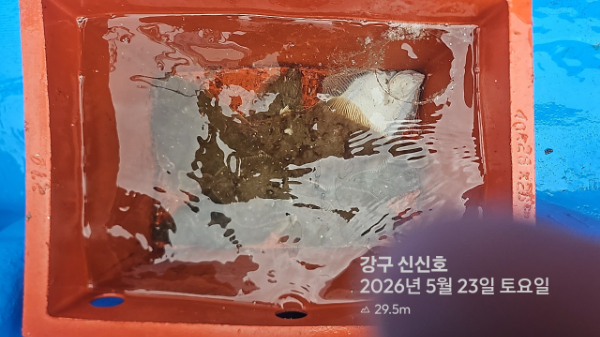 신신낚시 강구점 신신호_사진_20260523_16.jpg