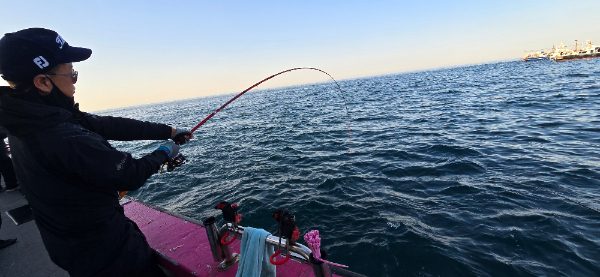20260510_063333.jpg