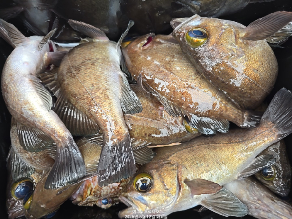 1000173693.jpg