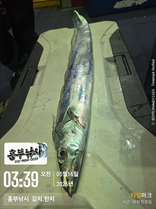 2026-05-16 03.39.06__(-흥부낚시  갈치.한치).jpg