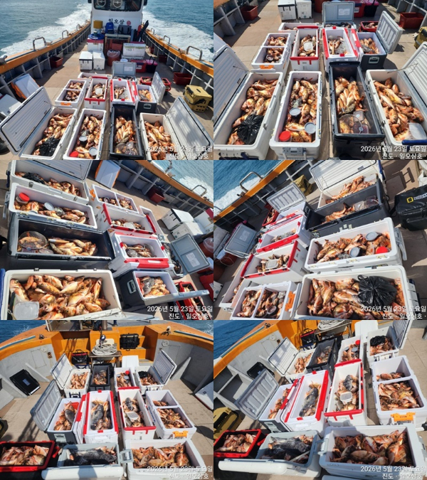 1060.jpg