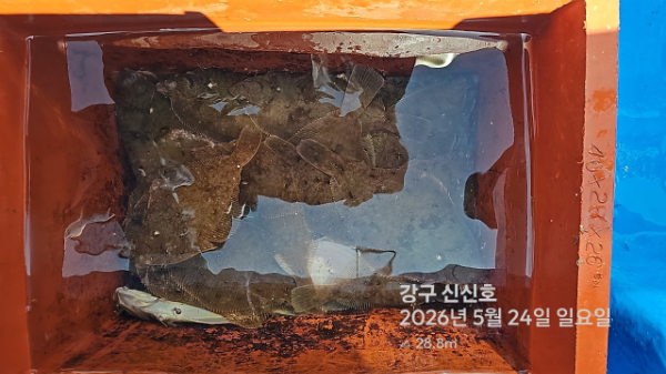 신신낚시 강구점 신신호_사진_20260524_16.jpg