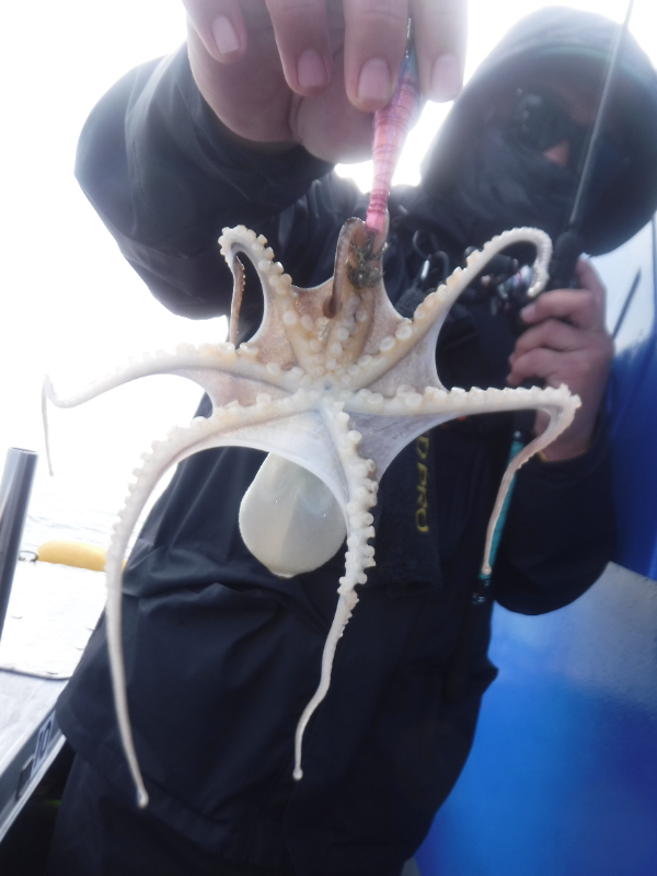 DSCF5711.JPG