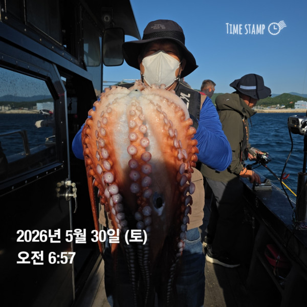 공현진낚시마트(돌핀호)_사진_20260530_4.jpg