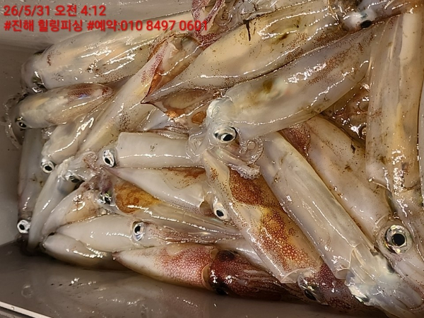 KakaoTalk_20260531_084710596_07.jpg