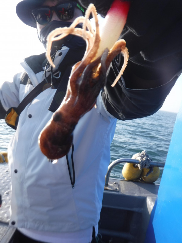 DSCF5650.JPG