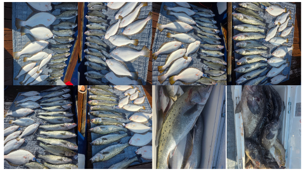 GridArt_20260518_172036969.jpg