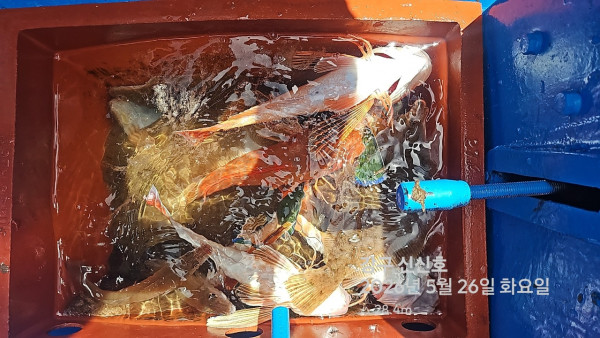 신신낚시 강구점 신신호_사진_20260526_13.jpg