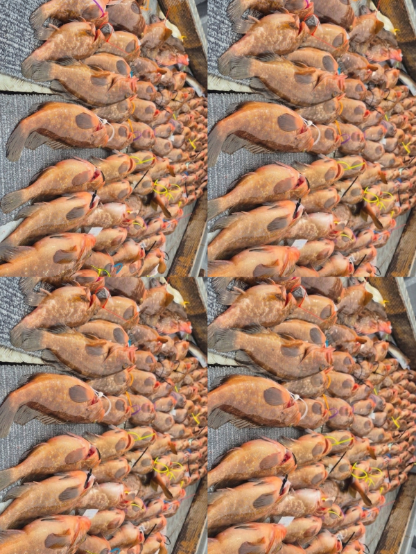 1000060489.jpg
