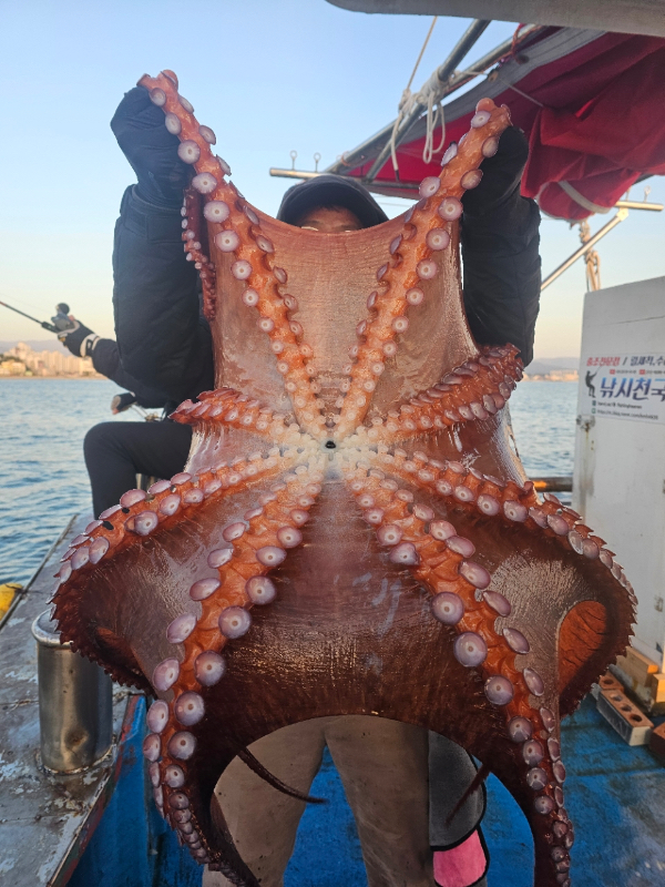 C07E15FD-C066-428B-B372-0078F953185D.jpeg