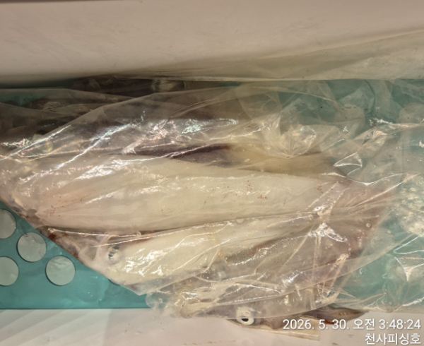 1004피싱_사진_20260529_21.jpg
