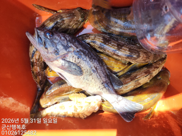군산행복호_사진_20260531_14.jpg