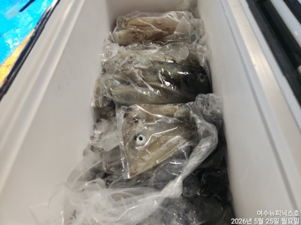 5월25일한치 (17).jpg