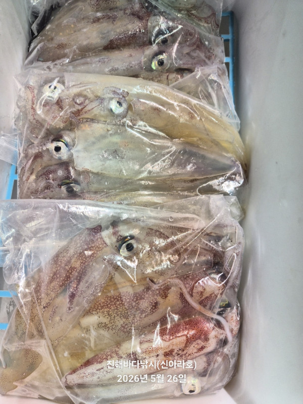 바다꾼낚시(신아라호)_사진_20260526_9.jpg