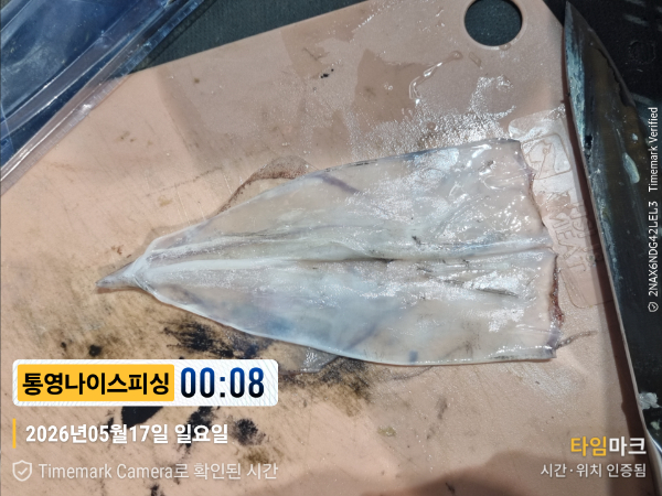 2026-05-17 00.08.30__(제목-통영나이스피싱).jpg