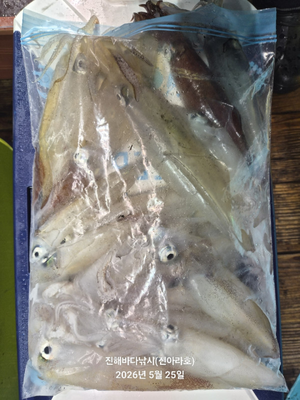 바다꾼낚시(신아라호)_사진_20260525_10.jpg