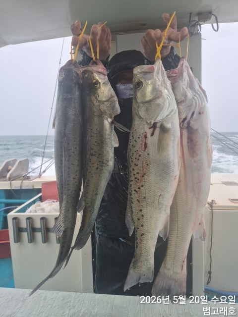 KakaoTalk_20260520_125935234_03.jpg