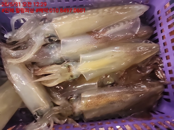 KakaoTalk_20260531_084710596_08.jpg