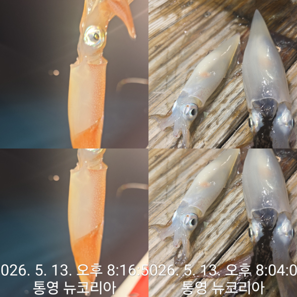 1000079243.jpg