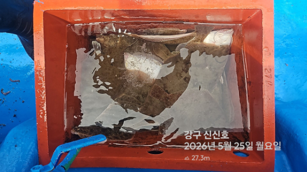 신신낚시 강구점 신신호_사진_20260525_5.jpg