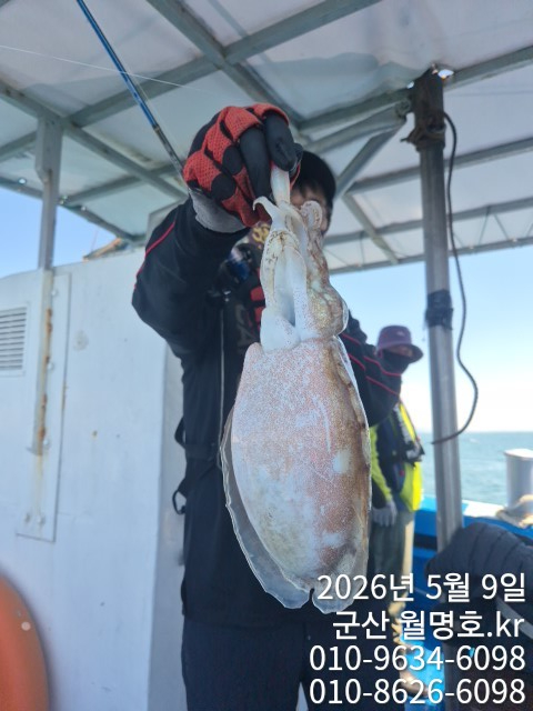 6702.jpg