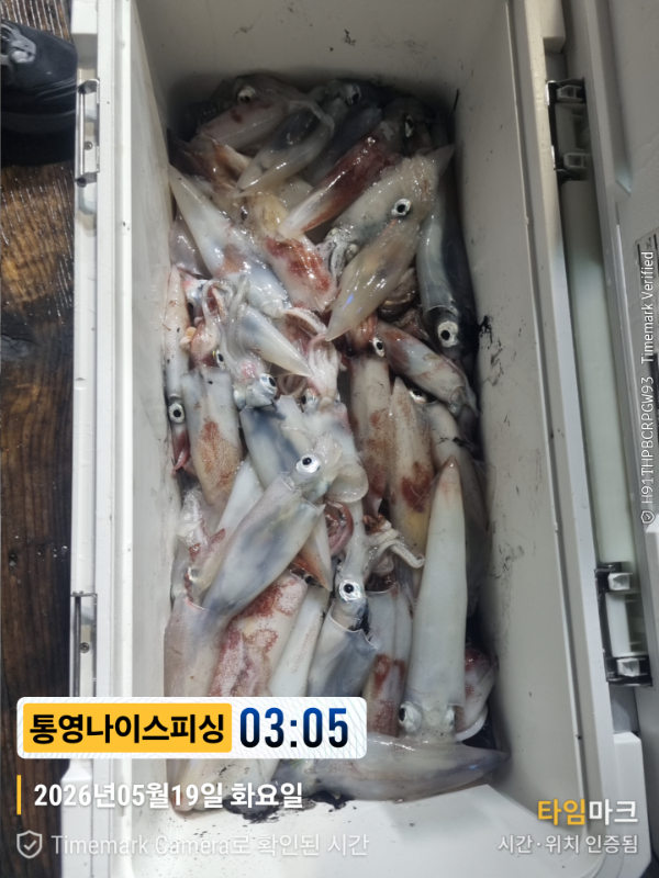 2026-05-19 03.05.20__(제목-통영나이스피싱).jpg