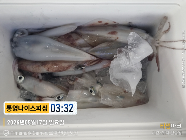 2026-05-17 03.32.32__(제목-통영나이스피싱).jpg