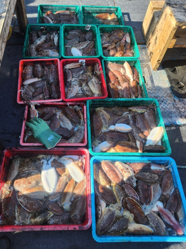 IMG_4595.jpeg
