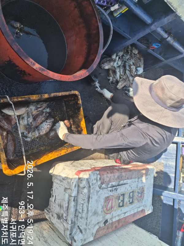 1000036258.jpg