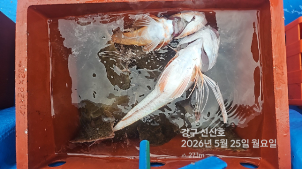 신신낚시 강구점 신신호_사진_20260525_10.jpg